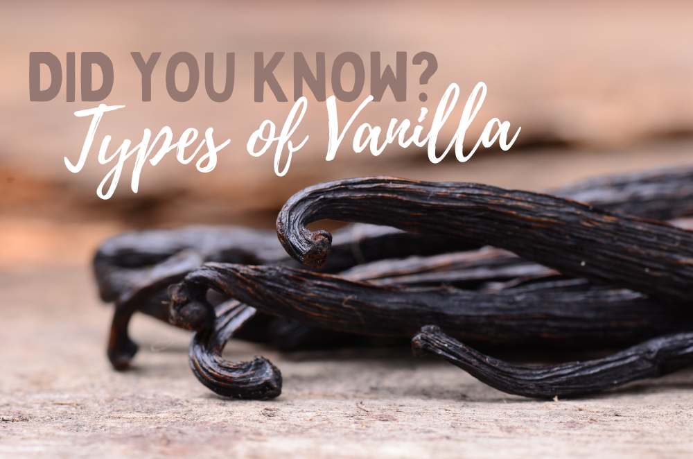 Discover the various types of vanilla