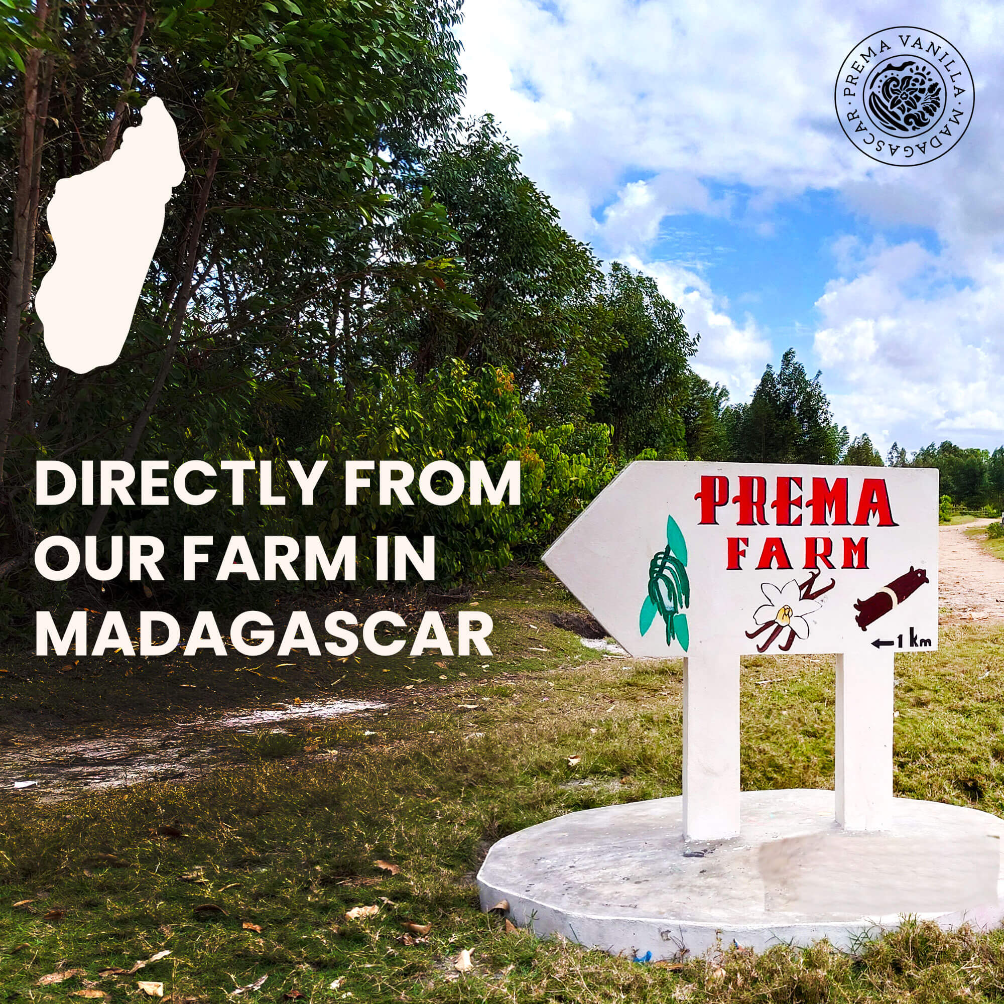 Madagaskaro Burbono vanilės pudra